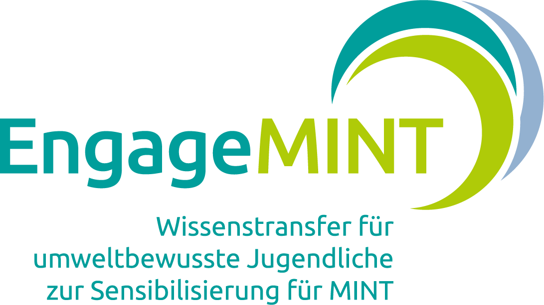 Interesse von umweltbewussten Jugendlichen an MINT-Themen und MINT-Tätigkeiten